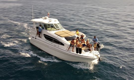 INSTANT BOOK DEALS ! Chef+Starlink WIFI ON BOARD! 45’ Searay Motor Yacht in Cabo