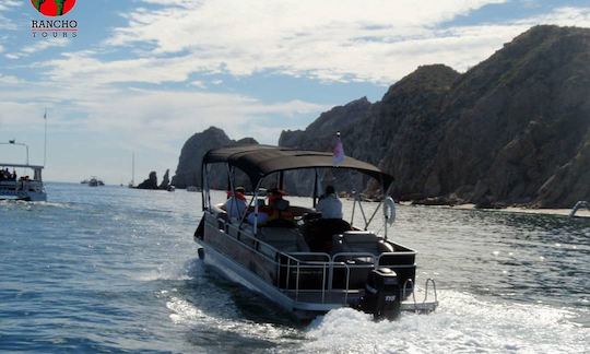 Alquiler de Tritoon de lujo de Precious Toon en Cabo San Lucas, Baja California Sur