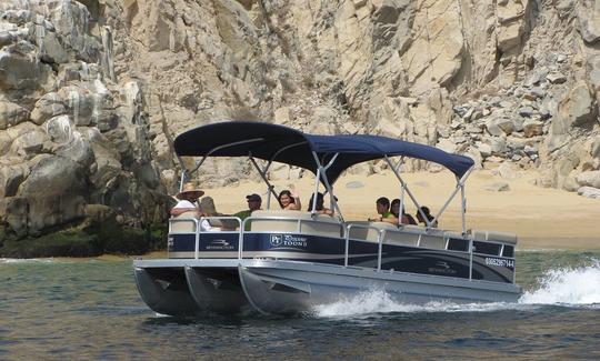 Alquiler de Tritoon de lujo de Precious Toon en Cabo San Lucas, Baja California Sur