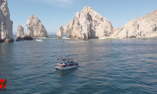 Alquiler de Tritoon de lujo de Precious Toon en Cabo San Lucas, Baja California Sur