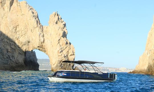 Alquiler de Tritoon de lujo de Precious Toon en Cabo San Lucas, Baja California Sur