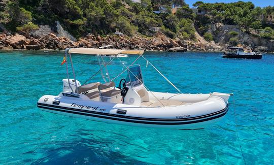 Capelli Tempest 585 RIB en alquiler en Calvià, España