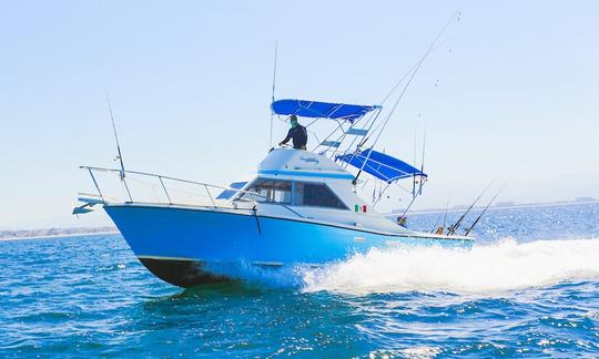 Marina de pesca La Cruz e Punta de Mita