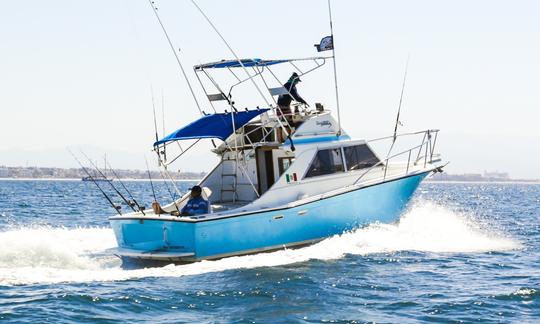 Marina de pesca La Cruz e Punta de Mita