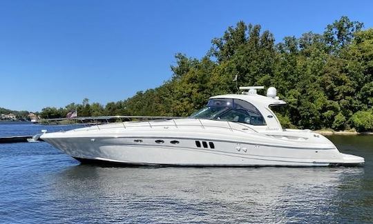 52ft Luxurious Power Yacht | 20 Guests Max Capacity | Rock Bottom Deals! |