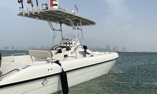 Water and Beyond 30 ft Boat Rental Dubai