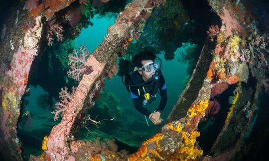 USAT Liberty Shipwreck - The world easiest dive-able shipwreck