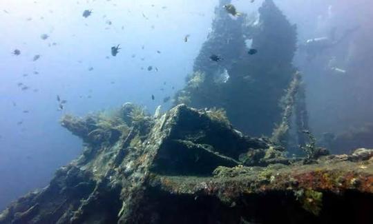 USAT Liberty Shipwreck - The world easiest dive-able shipwreck