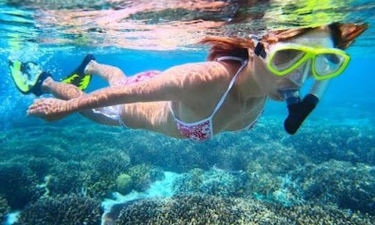 Snorkeling Tour from San Pedro Ambergris Caye