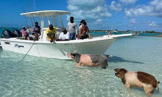 Excursions en bateau à Crystal Bay - DEMI-JOURNÉE (4 heures)