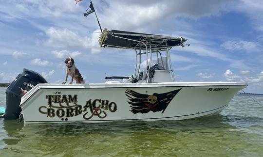 24ft Sailfish Center Console for Charter in Tampa, Florida