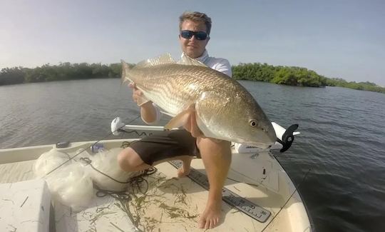 Viaje de pesca costera para 4 pescadores en Bradenton con el Capitán Alex