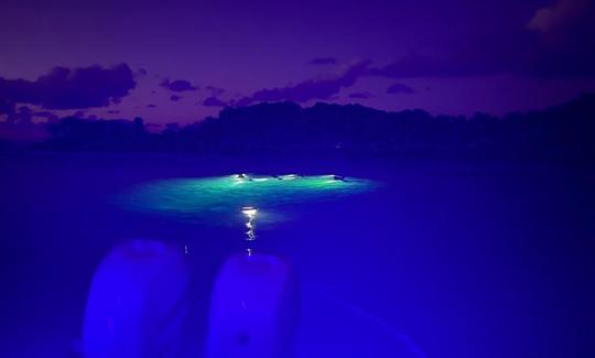 Experiência noturna de barco de mergulho com snorkel com lanches e bebidas