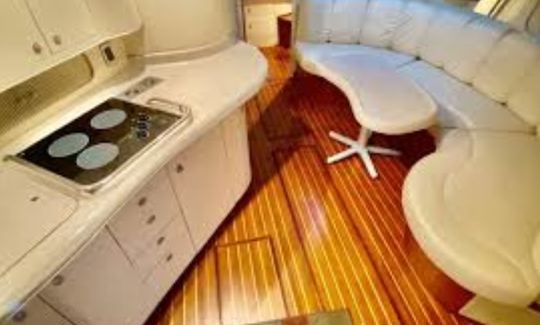 Searay Sundancer de 40 pieds à Grand Cayman