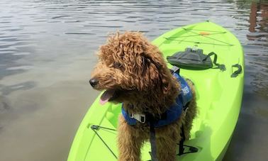 2019 Model Tahoma Kayak Rental in Lehi, Utah