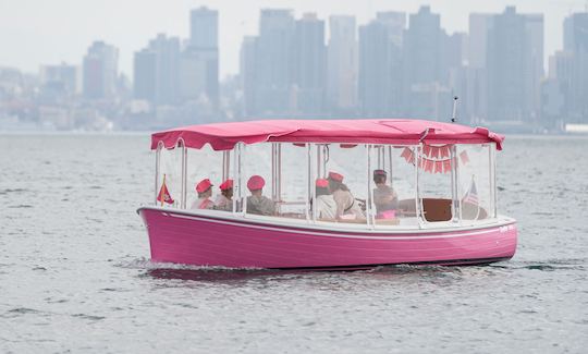 Pink party Boat cruise with a captain in San Diego Bay! Morning, afternoon and sunset time tours are available!