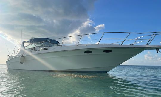 Searay Sundancer de 40 pieds à Grand Cayman