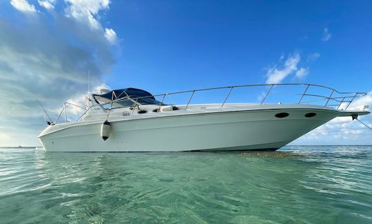 Searay Sundancer de 40 pieds à Grand Cayman