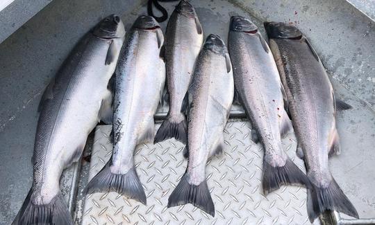 Excursions de pêche guidées à Soldotna, en Alaska