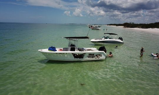 Passeios de barco e observação de golfinhos em Tampa com capitão local