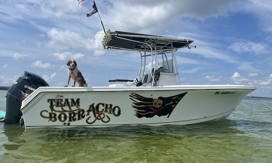 Passeios de barco e observação de golfinhos em Tampa com capitão local