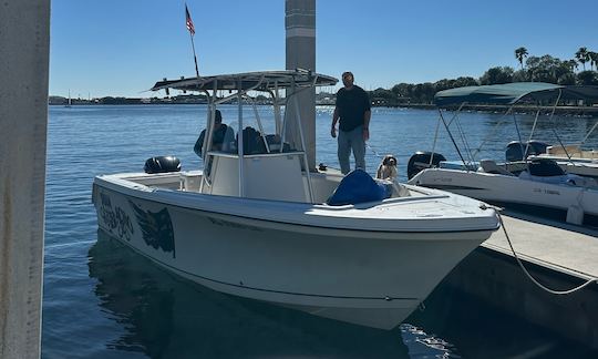 Passeios de barco e observação de golfinhos em Tampa com capitão local