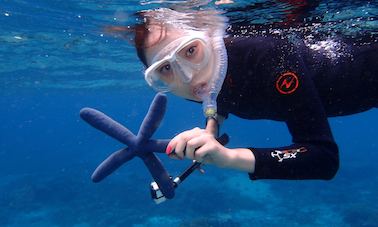 Barco de alquiler para hacer snorkel, recorrido por los manglares y practicar SUP en Nusa Lembongan (7 horas) | Yate de fibra de 35 pies