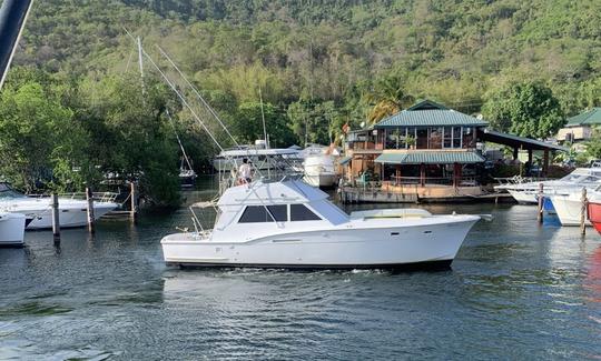 Hatteras 46' Sport Cruiser pour les voyages quotidiens en charter