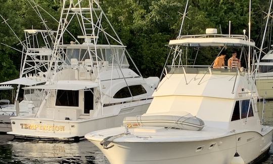 Custom Sportfishing Charters Onboard 46ft Hatteras Yacht