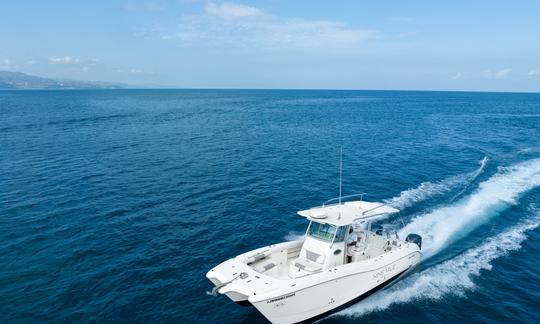 320 World Cat for Charter en Montego Bay