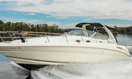 15 Person Sea Ray 40' Motor Yacht in Quebec