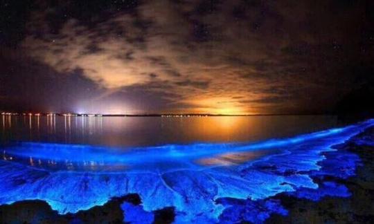 Excursion privée personnalisée en kayak bioluminescent à Fajardo