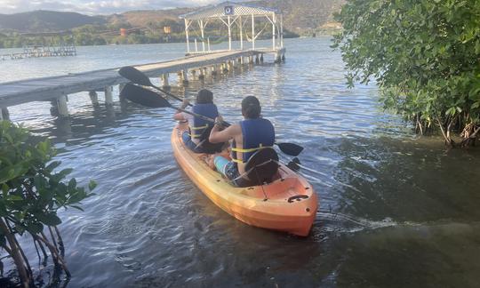 Excursion privée personnalisée en kayak bioluminescent à Fajardo