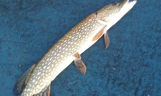 10ft Lifetime Fishing Kayak in Middlebury