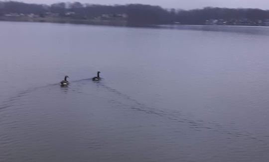 12ft Canoe on Hunter Lake