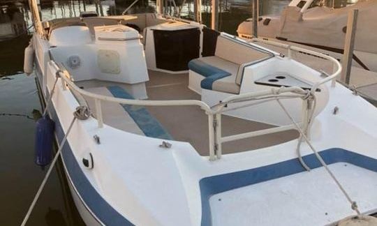 Lake Havasu: 26' Pontoon/Deckboat for rent! Room for 13