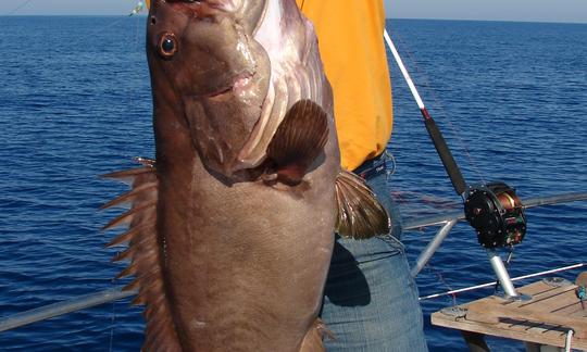 Pesque peixes grandes a bordo do iate Sportfisher de 40 pés - máx. 6 pessoas em Llucmajor