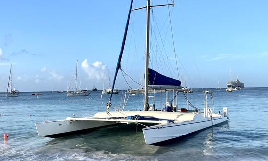 44ft Sailing Catamaran Charter in Bridgetown, Saint Michael