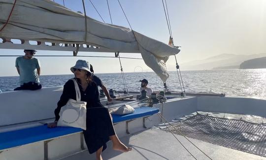 Catamarán de observación de ballenas 100% eléctrico (experiencia privada)