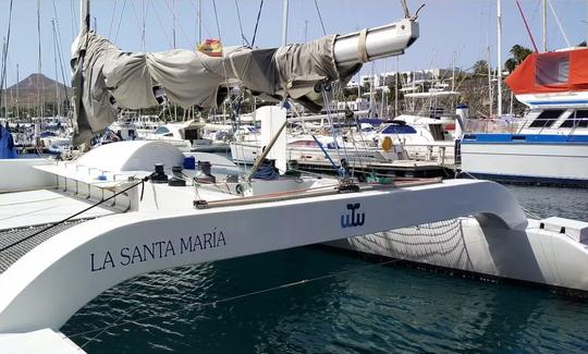 Catamarán de observación de ballenas 100% eléctrico (experiencia privada)