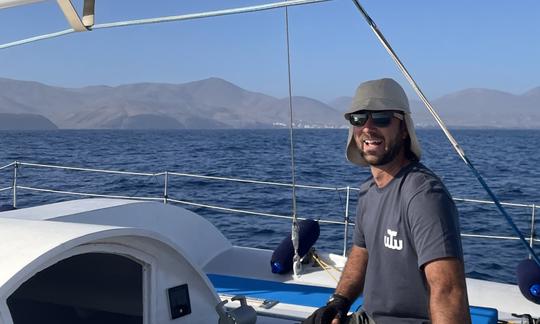 Catamarán de observación de ballenas 100% eléctrico (experiencia privada)