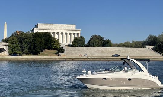 Come aboard our stunning Chapparal Yacht‼️