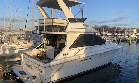 Yate familiar Sea Ray 340 en el área de Virginia Beach. Poquoson, Virginia.