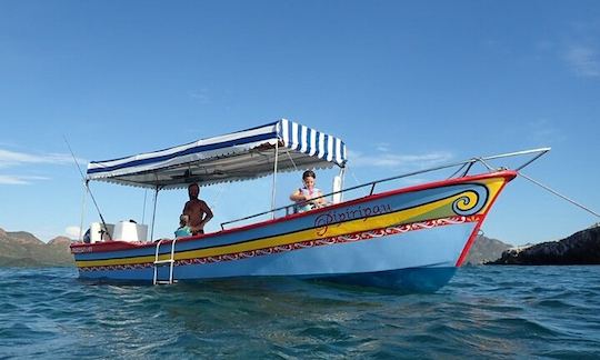 The cheerful colors of the fully equipped, 24 foot classic Mexican panga Pipiripau, are a reflection of the fun we have exploring the coastline of San