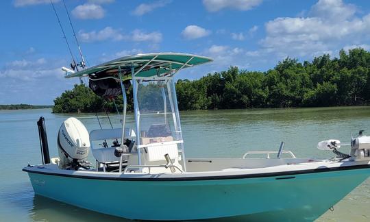 Des îles, des dauphins, des bancs de sable et bien plus encore ! 6 passagers plus le capitaine ! (Carburant inclus)