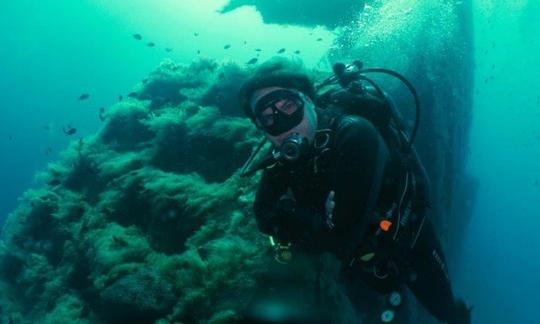 Viaje de buceo en Brychwood for Zebobia Wreck 2020