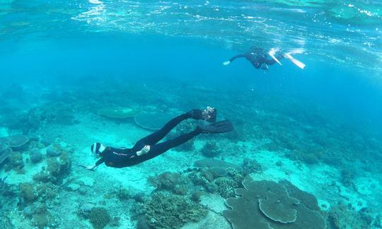 Snorkel Trip in Sanur Area (BALI)