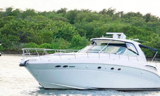 Sea Ray Sundancer 55' en Tulum. Todo incluido