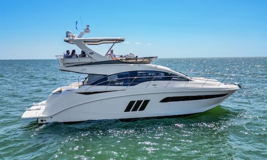 Location d'un mégayacht Sea Ray Flybridge Power « Poseidon SR » de 55 pieds à Tampa, en Floride