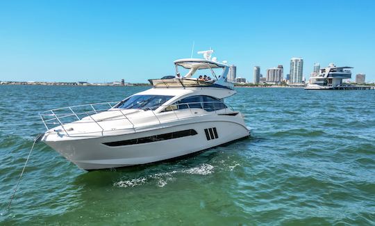 Location d'un mégayacht Sea Ray Flybridge Power « Poseidon SR » de 55 pieds à Tampa, en Floride